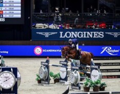 Kinky Boy van het Gildenhof naar Mclain Ward