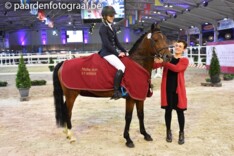 Principal Dream nieuwe elite hengst BRP