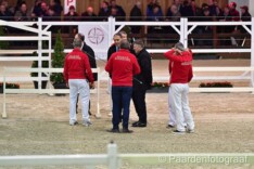 Programma BWP Hengstenkeuring