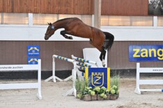 Sky Blue-K van Kattenheye naar Team Nijhof!