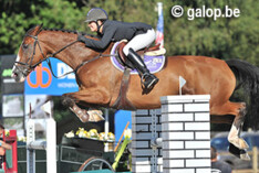 Last minute afmelding voor BK: Dakota verkocht!