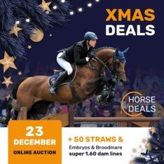 Laatste uren om een Xmas Deal te scoren!