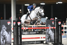 Familie Philippaerts en Stephex Stables investeren samen !