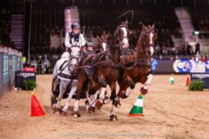Weer podiumplaats voor Dries Degrieck in Londen