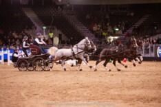 Dries Degrieck start sterk in Londen