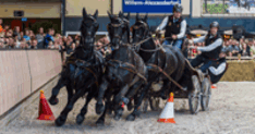 Met Galop.be gratis naar Paard & Koets!