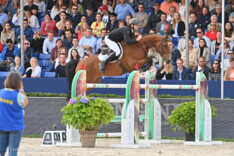 Koen Vereecke schittert nu ook in de CSI2* GP van Valence!