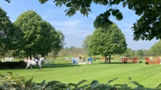 Jan van Alken verzekert ochtendwinst op Jumping Lummen