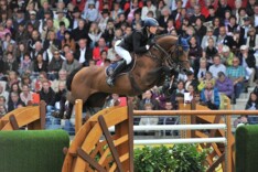 €30.000 voor veilingtopper Horseman Auction