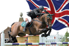 Brightwells European Selection Days