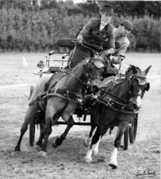 Kersbeek, 9 mei, stage - oefendag A + C