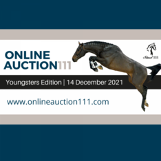 AUCTION 111 PRESENTS THE YOUNGSTER EDITION!