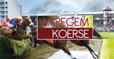 Waregem Koerse: Franse combinatie wint