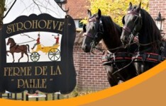 De planning van Elsegem