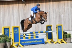 Spektakel op Zangersheide Online Auction!