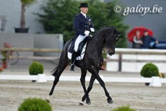 Geen wijziging in BK dressuur na Special
