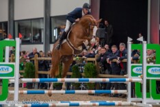 Ermitage Kalone wint Young Stallion Award