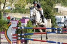Drie Belgische paarden in topdrie GP Verbier