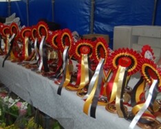 BK Booischot, de Kampioenen van 2012