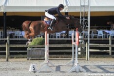 Moya wint Zangersheide Youngster Cup