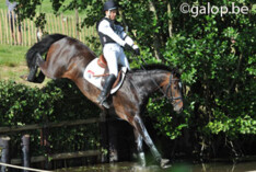 Rik Geirnaert aan de leiding in Lami-cell Beker van België eventing
