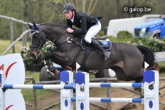 Nieuw paard voor Lamaze