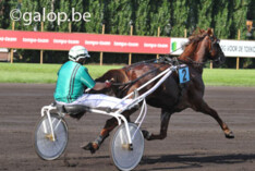 Jumpingruiters voor één keer in de sulky