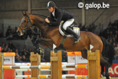 Eldorado hoofdleverancier KWPN-keuring