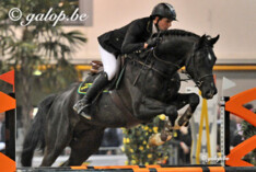 Gipsy vh Heike en Hunter?s Scendro kampioenen Gesves