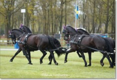 CAI2* Ermelo verhuist naar Exloo