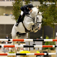 Foto's afgelopen weekend