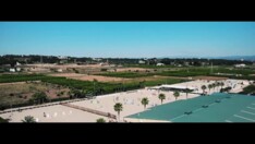 CES Valencia Tour: flinke uitbraak EHV-1