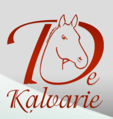 Stal de Kalvarie is op zoek naar ruiter