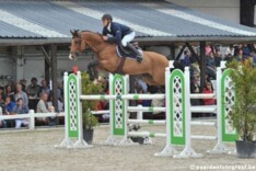 35 Vierjarigen springen zaterdag finale BK