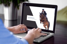 Nieuwe website voor stal Awouters!