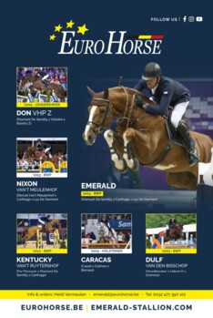 Eurohorse is op zoek naar...