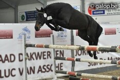 Topstammen op kop aan eind van BYT + foto's