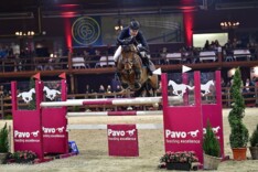 Pavo Hengstencompetitie gaat van start!