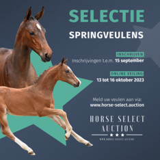 Horse Select Auction opent de inschrijvingen!