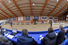 Zangersheide stuurt 19 hengsten door