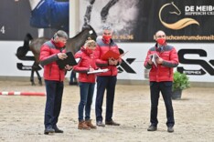 Eerste indruk van de Hengstenjury