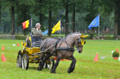 Winnaars MenSport Wisseltrofee