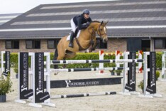 Vigo d’Arsouilles-dochter Jelka met 60.000 euro klapper Youhorse.auction
