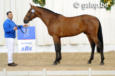 Vagabond de la Pomme tweede in GP National