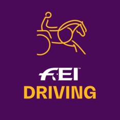 Nieuwe FEI-dressuurproeven voor enkelspannen