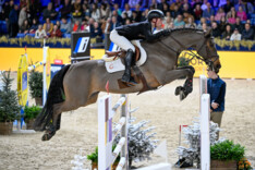 Belgisch Kampioen Juniors Mathieu Guery snelt naar winst in het Azelhof