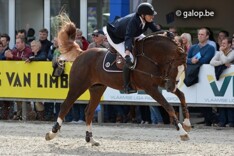 Wathelet tweede in Helsinki