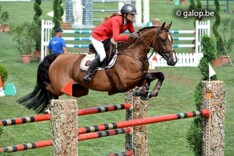 Bradt en Braeckmans naar de finale