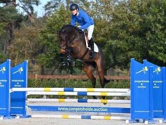 €72.000 voor Canintendra PS op Zangersheide!