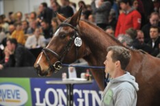 Free Jump Tour: Klapscheut en Clintissimo Z
